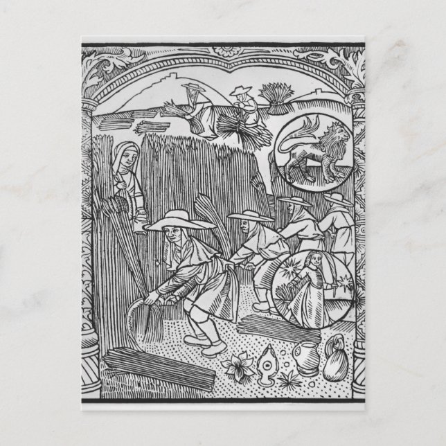 August, harvesting, Leo Postcard (Front)