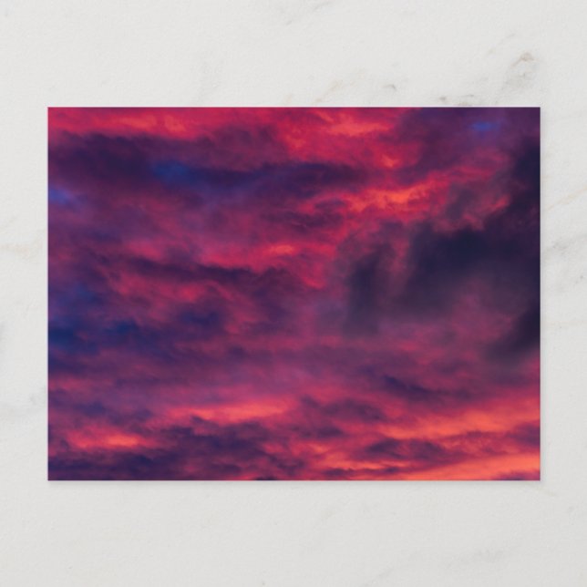 august red holiday postcard (Front)