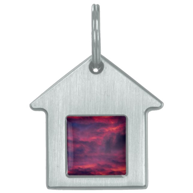 august red pet ID tag (Front)