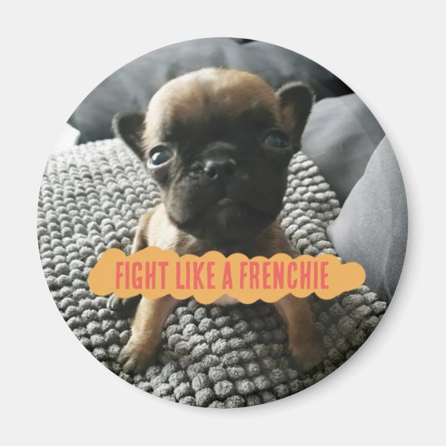 Augustus "Fight like a Frenchie" Pin Magnet (Front)