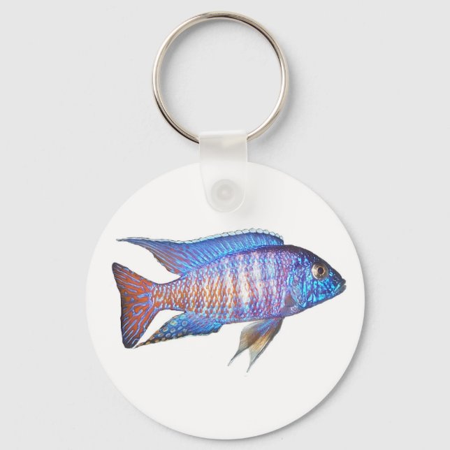 Aulonocara peacock key ring (Front)