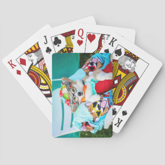 Aunt Gussy corgi playing cards