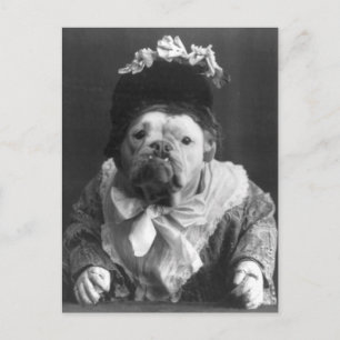 Aunt Maude Dog Postcard
