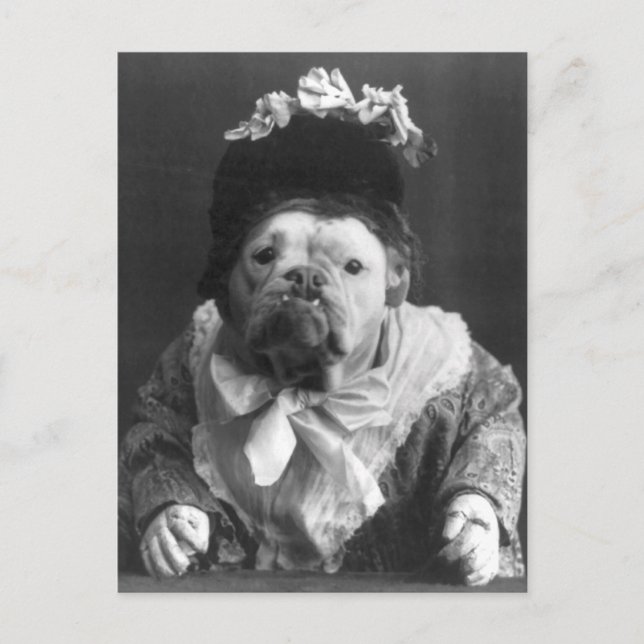 Aunt Maude Dog Postcard (Front)