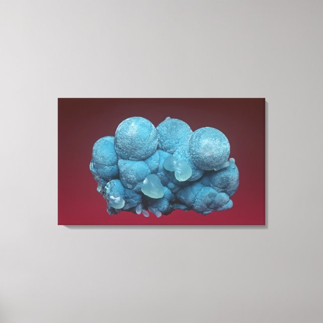 Aurichalcite with Smithsonite, Soccorro County, Ne Canvas Print (Front)