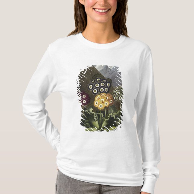 Auriculas from Dr John Robert Thornton's T-Shirt (Front)