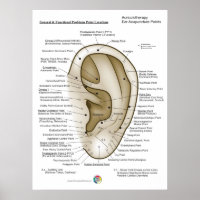 Auriculotherapy Ear Acupuncture