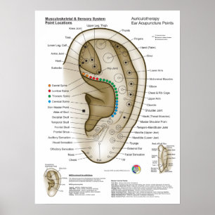 Auriculotherapy Ear Acupuncture Poster
