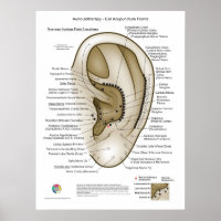 Auriculotherapy Ear Acupuncture
