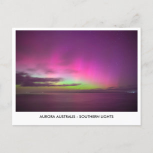 Aurora Australis - Southern Lights Night Sky Postcard