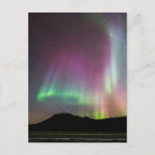 Aurora Borealis Alaska Brooks Range, Alaska Postcard