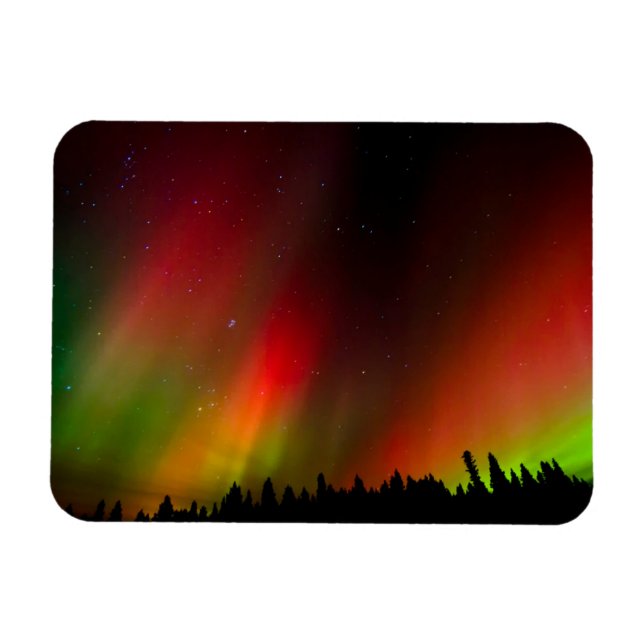 Aurora Borealis and trees Magnet (Horizontal)