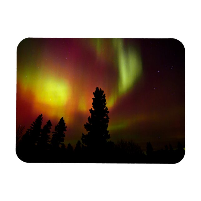 Aurora Borealis and Trees Magnet (Horizontal)