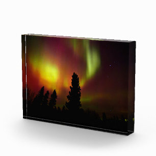 Aurora Borealis and Trees Photo Block