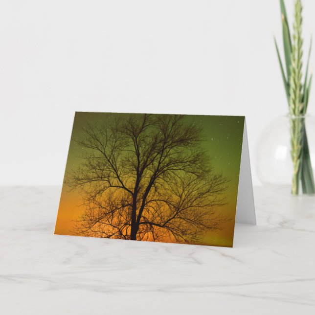 Aurora Borealis & Cottonwood Tree Card (Front)