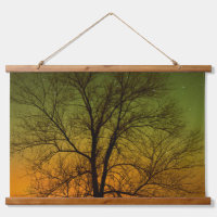 Aurora Borealis & Cottonwood Tree