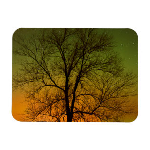 Aurora Borealis & Cottonwood Tree Magnet