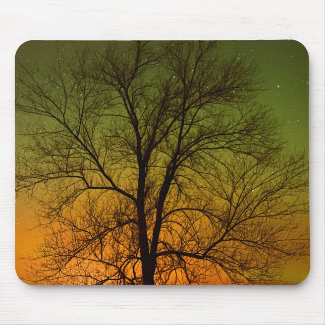 Aurora Borealis & Cottonwood Tree Mouse Pad (Front)