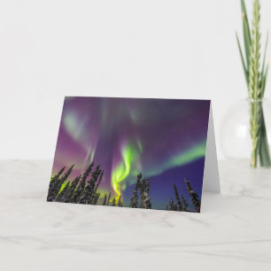 Aurora Borealis   Fairbanks, Alaska Card