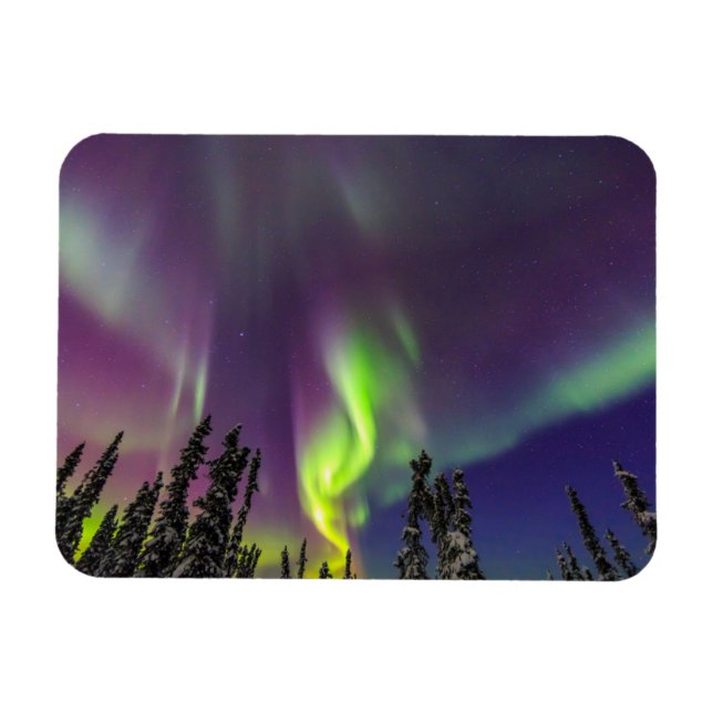 Aurora Borealis | Fairbanks, Alaska Magnet (Horizontal)