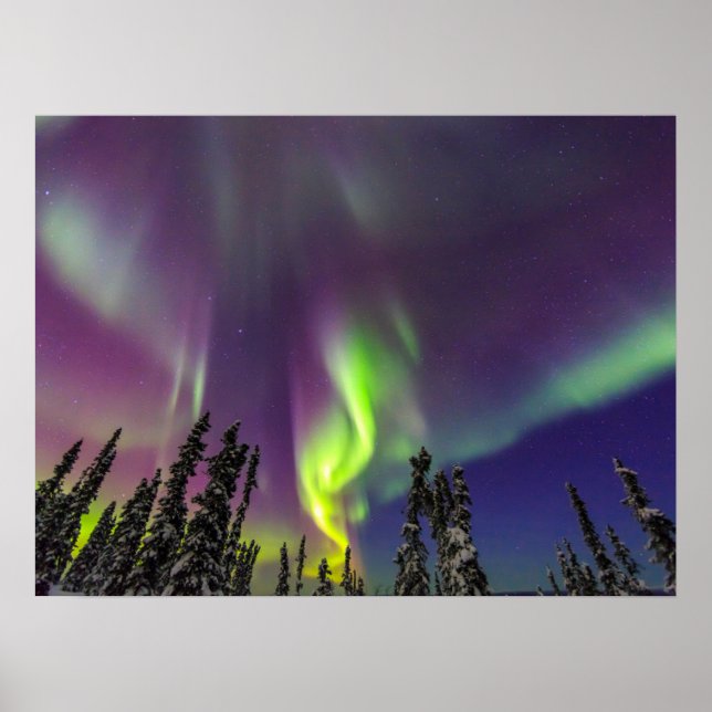 Aurora Borealis | Fairbanks, Alaska Poster (Front)