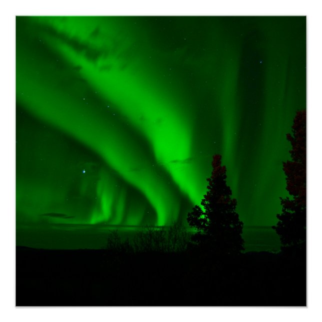 aurora-borealis green poster (Front)