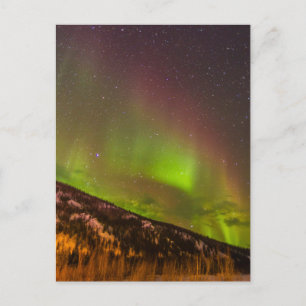 Aurora Borealis   Mountains Fairbanks Alaska Postcard