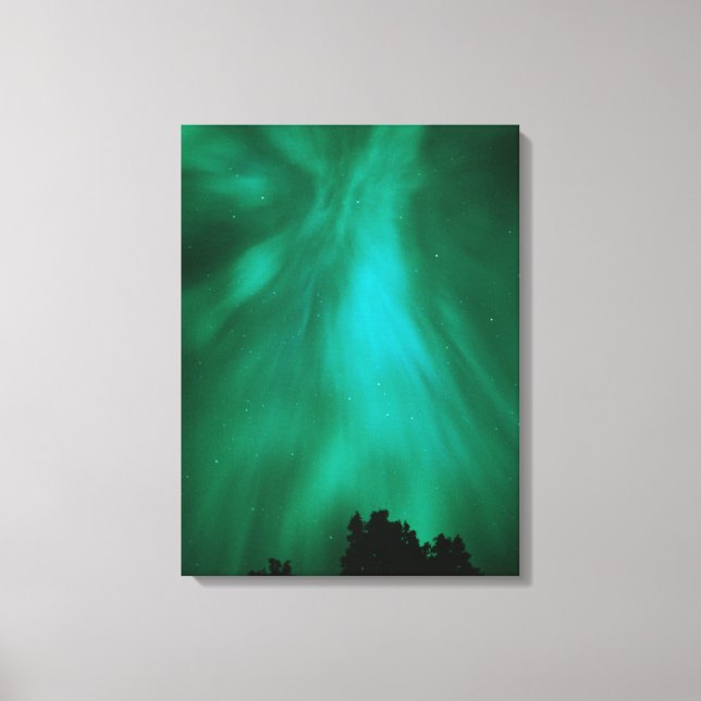 Aurora Borealis Nighttime | Ontario, Canada Canvas Print (Front)