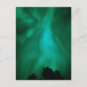 Aurora Borealis Nighttime Ontario, Canada Postcard
