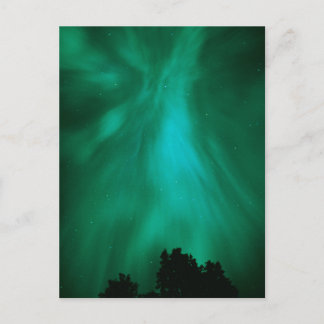 Aurora Borealis Nighttime | Ontario, Canada Postcard