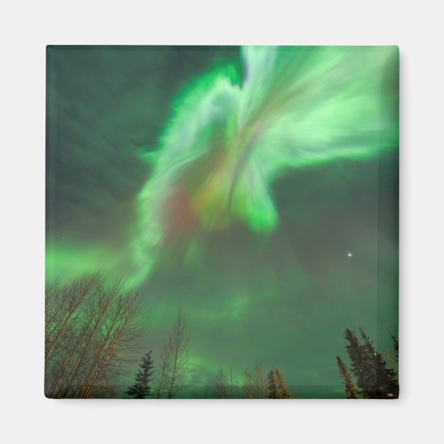 Aurora Borealis Northern Lights | Fairbanks Magnet (Front)