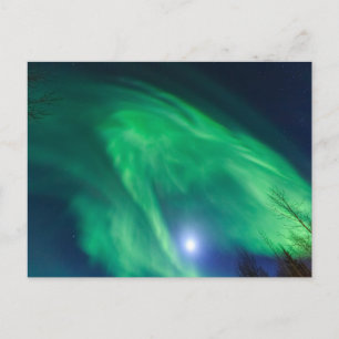 Aurora Borealis Northern Lights   Fairbanks Postcard