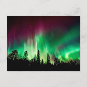 Aurora borealis northern lights postcard