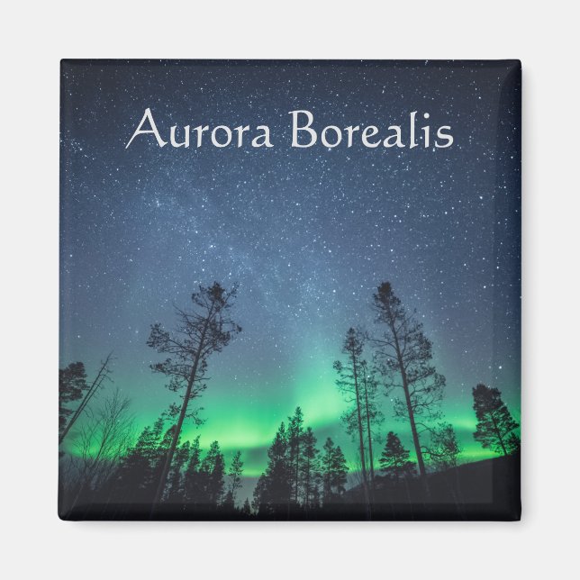 Aurora Borealis Norway Magnet (Front)