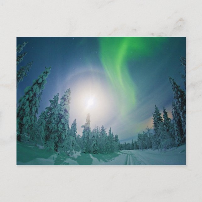 Aurora Borealis Postcard (Front)