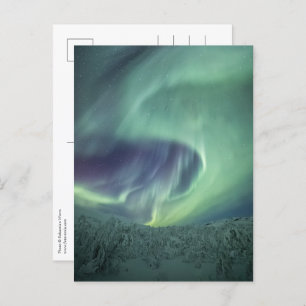 Aurora Borealis Postcard