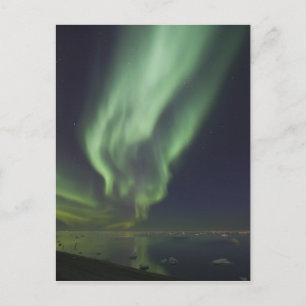 Aurora Borealis reflected in Arctic Ocean Postcard