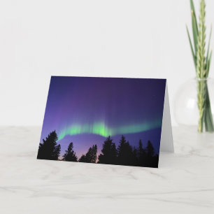 Aurora Borealis & Trees Manitoba, Canada Card