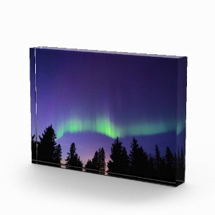 Aurora Borealis & Trees Manitoba, Canada Photo Block