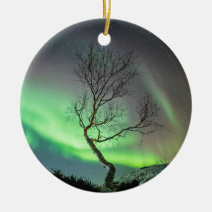 Aurora Ceramic Tree Decoration