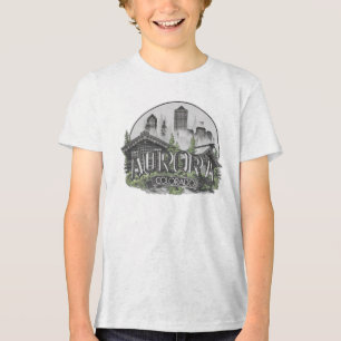 Aurora City Colorado USA Tri-Blend Shirt