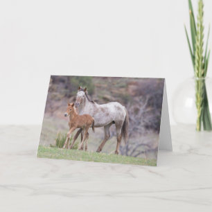 Aurora & Filly-Galloping to Freedom Greeting Card