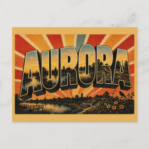 Aurora Illinois River Lake Sunken Garden Art Postcard