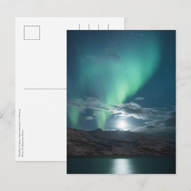 Aurora Moonlight Postcard (Front/Back)