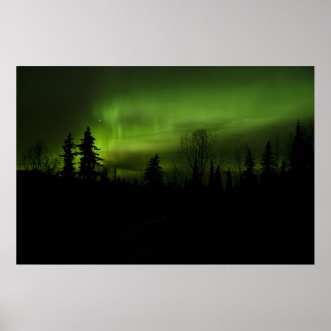 Aurora over Denali poster (Front)