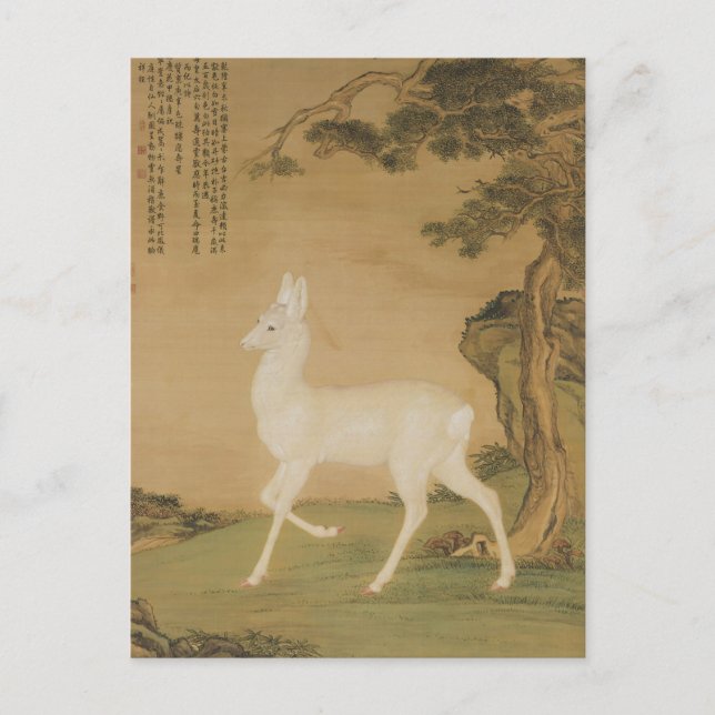 Auspicious Roe Deer Fine Art Postcard (Front)