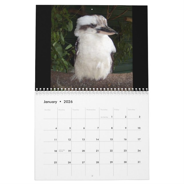 Aussie Animals Calendar (Jan 2026)