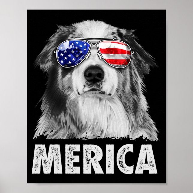 Aussie australian shepherd 4th of july merica poster (Front)