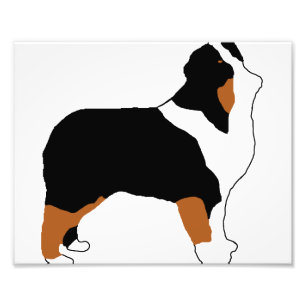 aussie black tri silo photo print