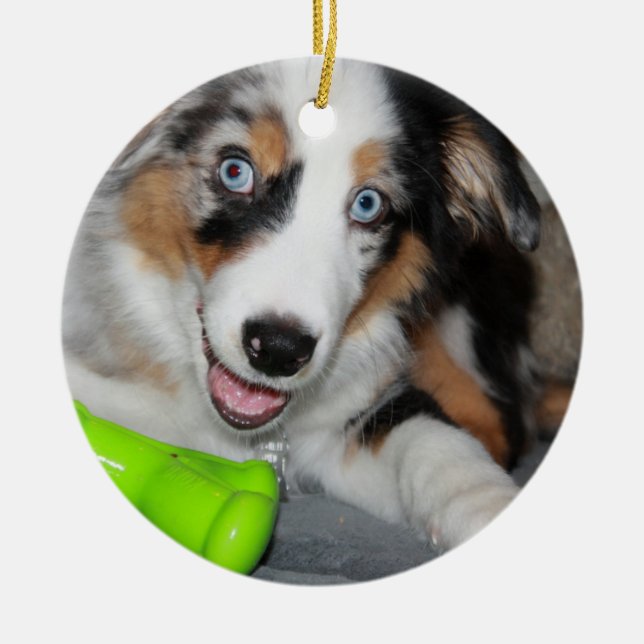 aussie blue merle puppy.png ceramic tree decoration (Front)